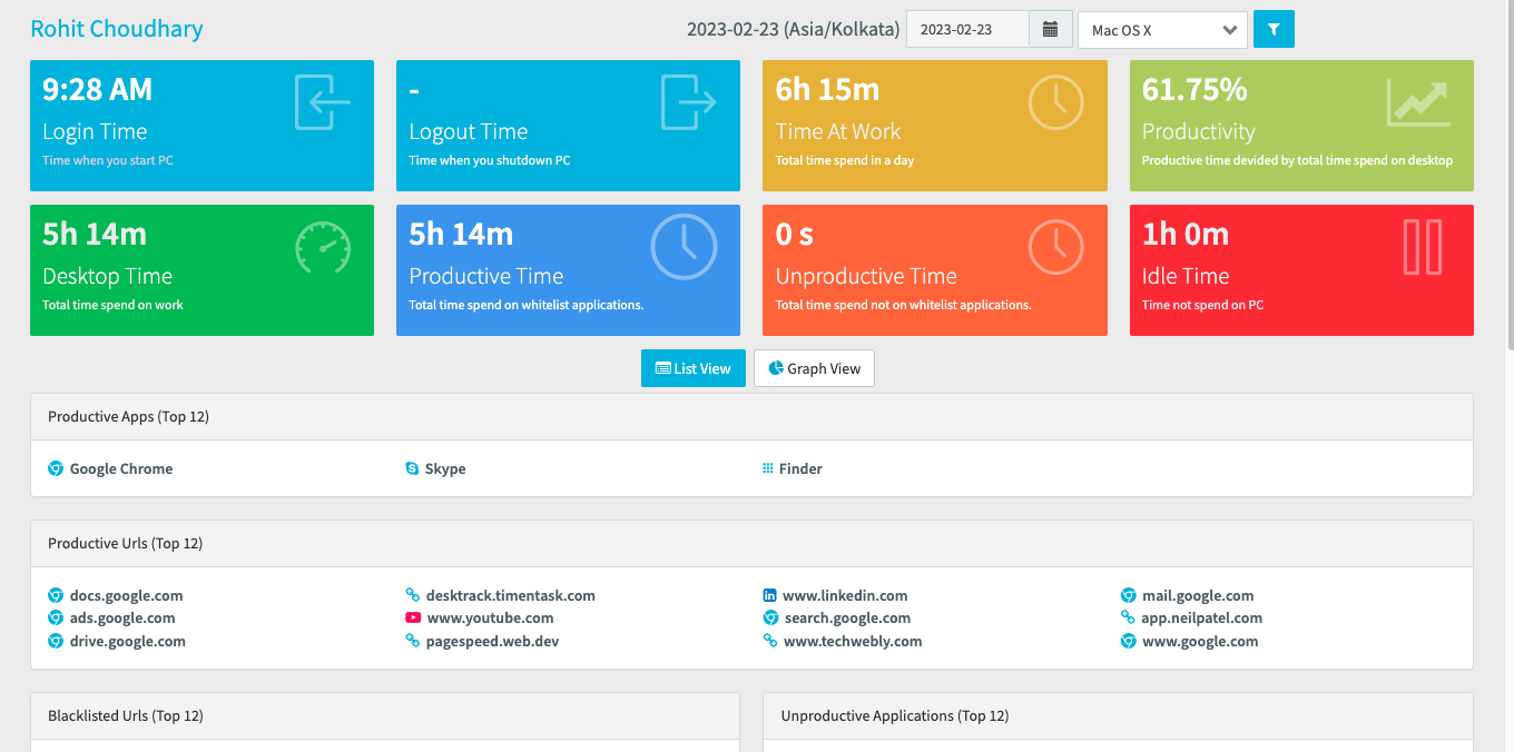 daily report format