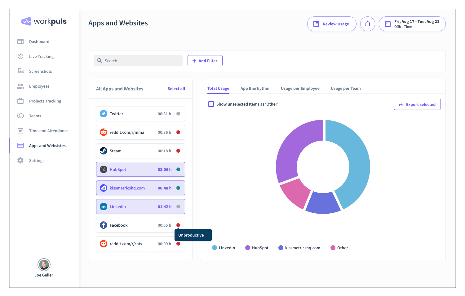 workpuls dashboard