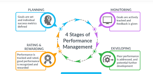 Performance Management Cycle