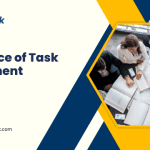 Importance of Task Management Software for Small Businesses