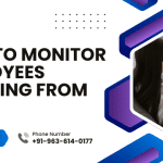How to Monitor Employees Working from Home in 2025?
