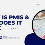 What is PMIS & How Does it Work?