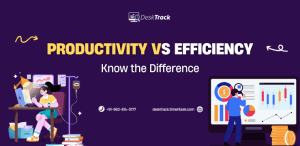 Productivity vs Efficiency